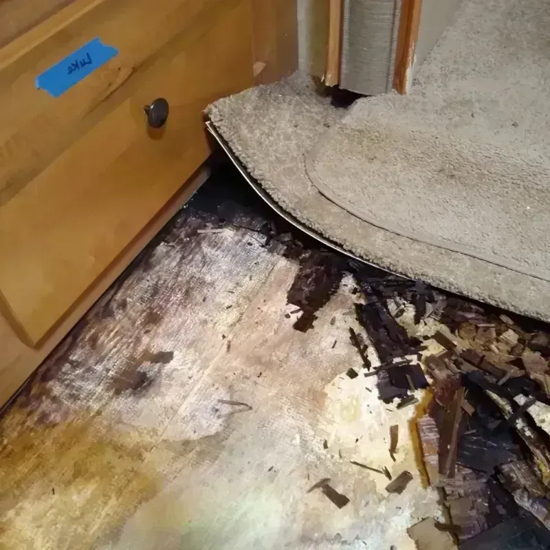 Wood Floor Water Damage in Sandy, PA